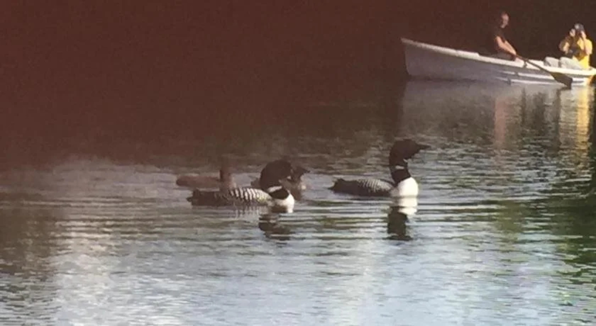 Talkeetna Lakeside Cabins