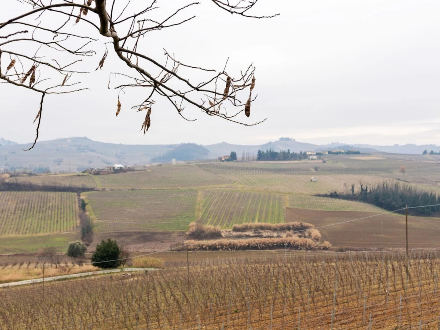 Attractive Holiday Home in Fontanile With Garden and Barbecue