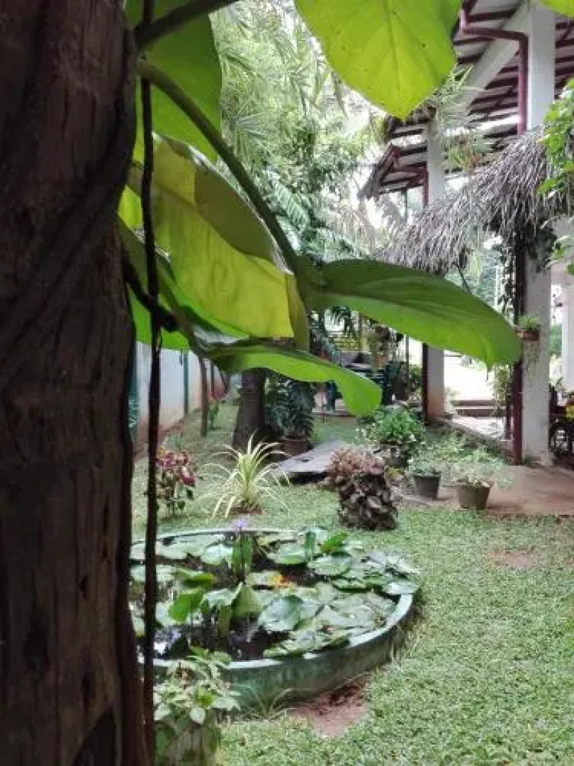 Ruins View Holiday Resort