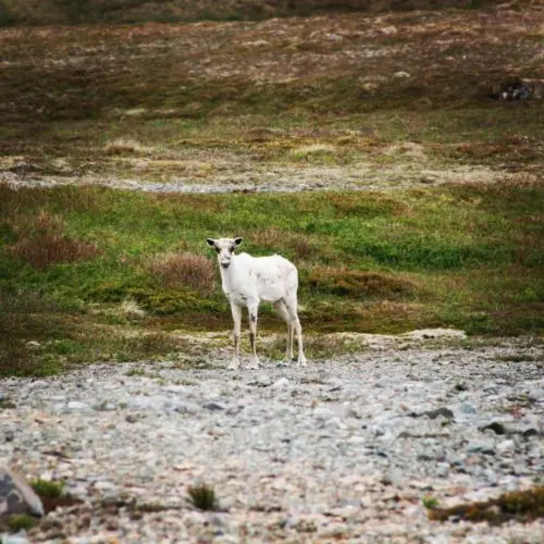 The Convent Guesthouse