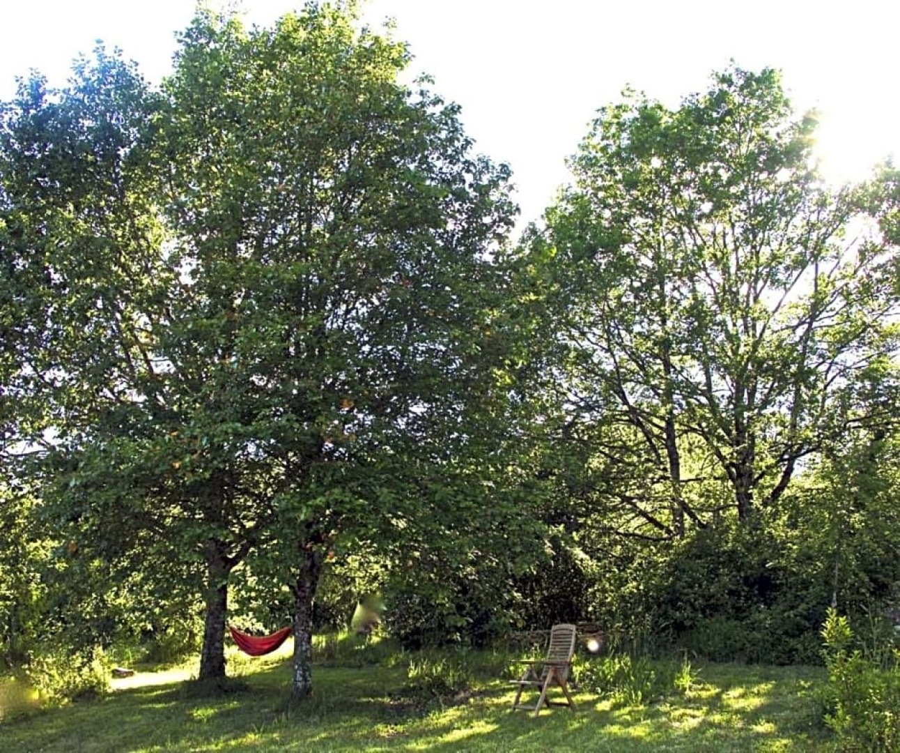 Chambre d'hôtes La Dentalie