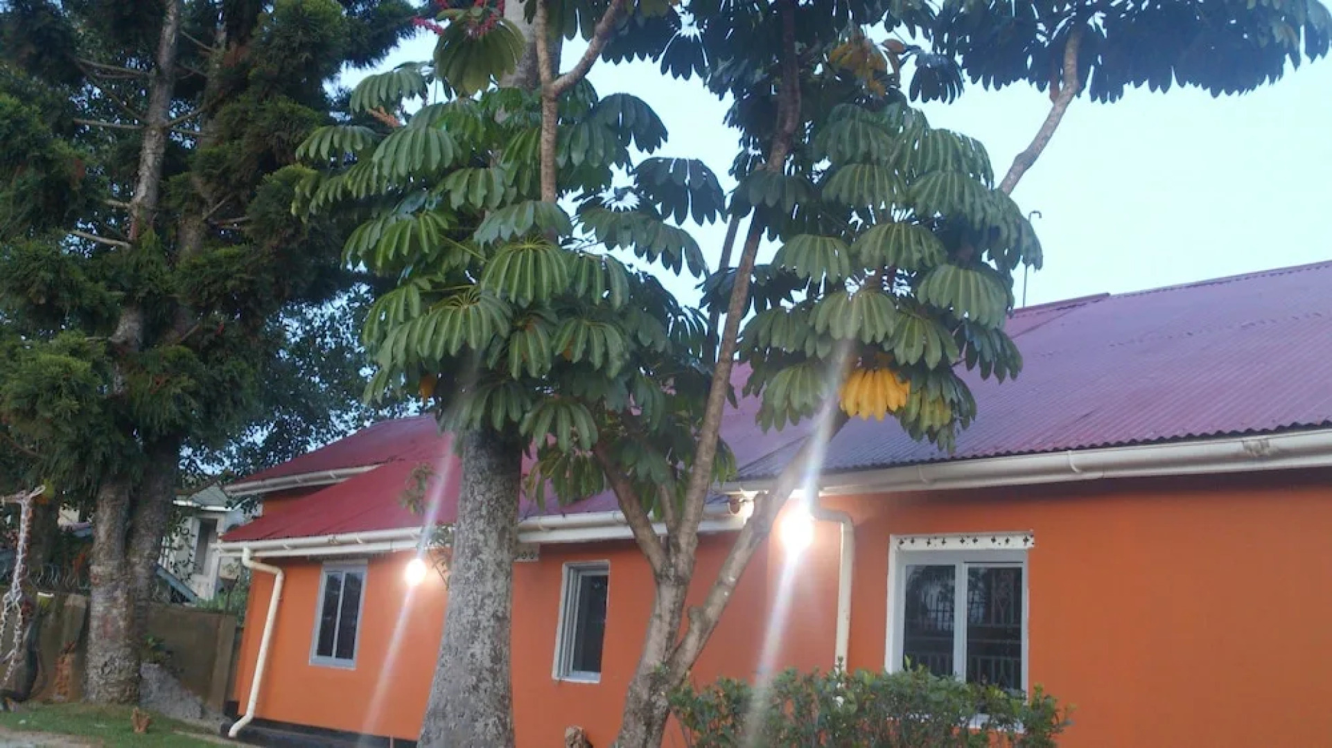 Oceanic House city park motel