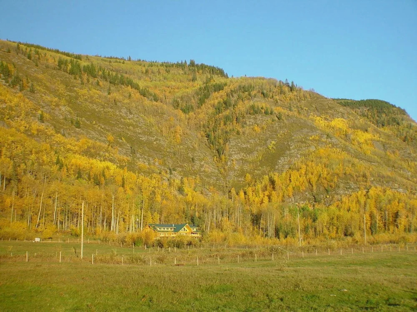 Williston Lake Resort