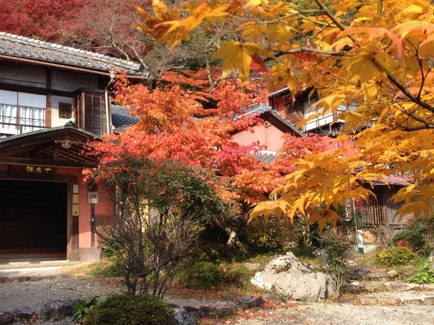 Cultural Property of Japan Senzairo