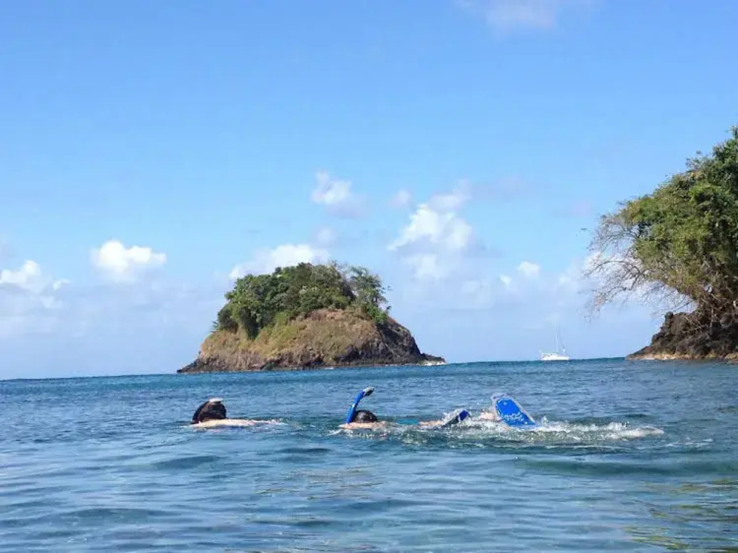 Scuba Portobelo