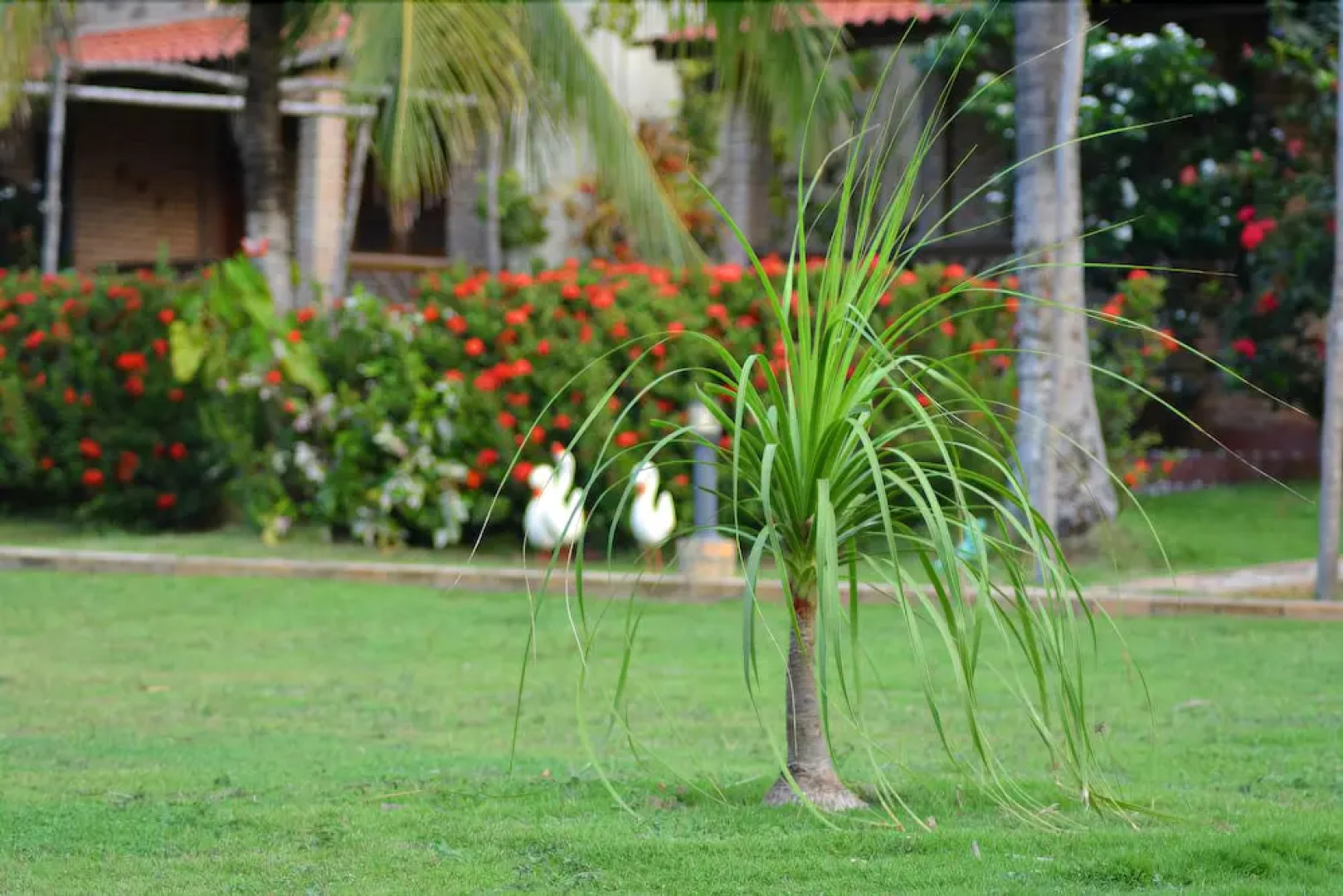 Pousada Arco Mundial