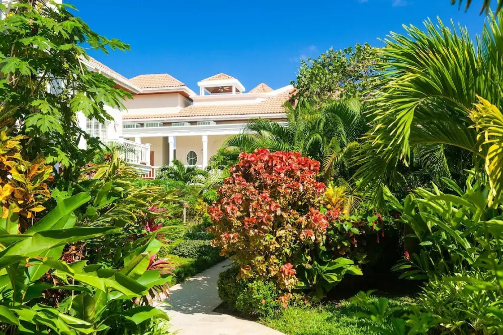 Lawson Rock Yellowfish 210