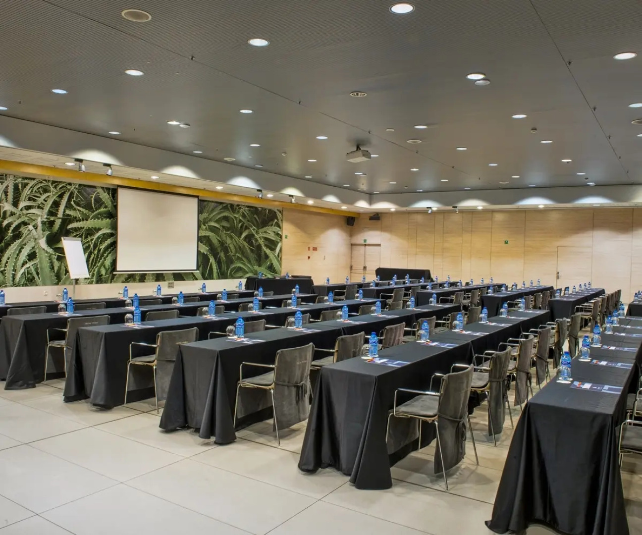 Alexandre Fira Congress