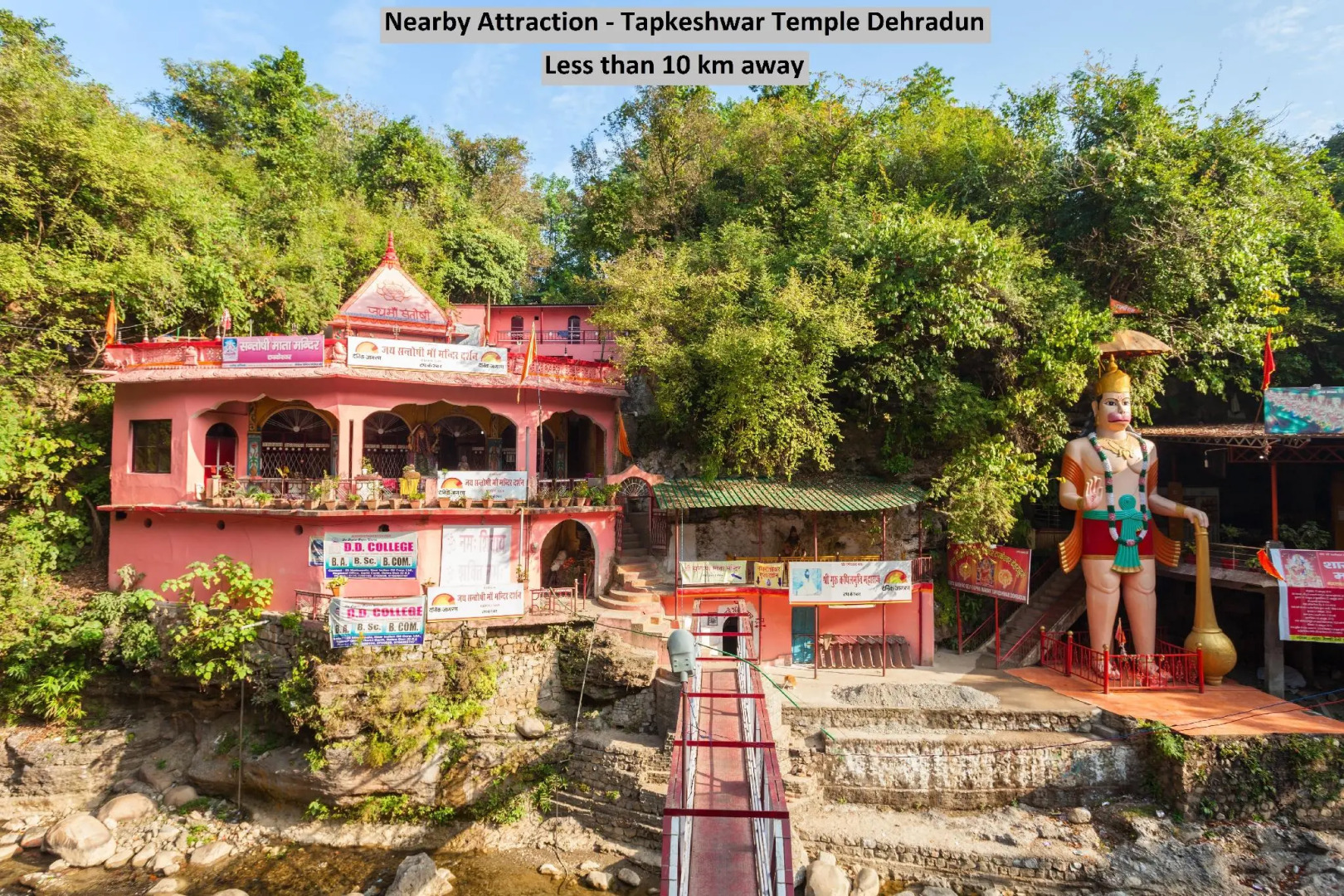 SPOT ON 41585 Green Pine