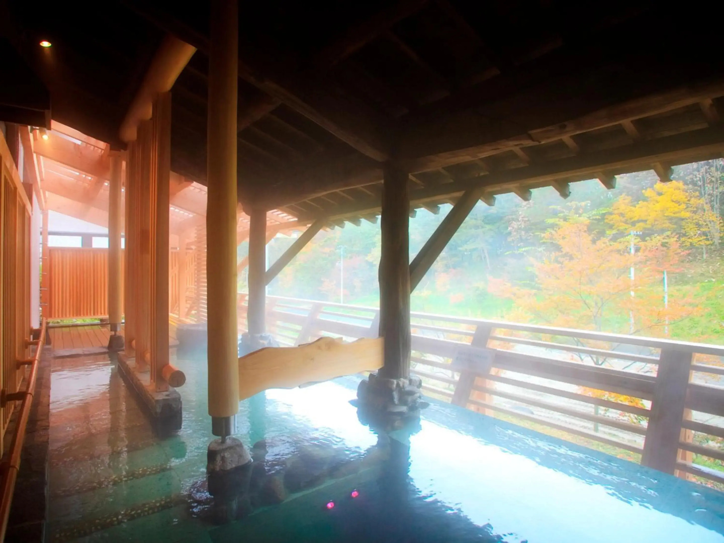 Shin Appi Onsen Seiryukaku