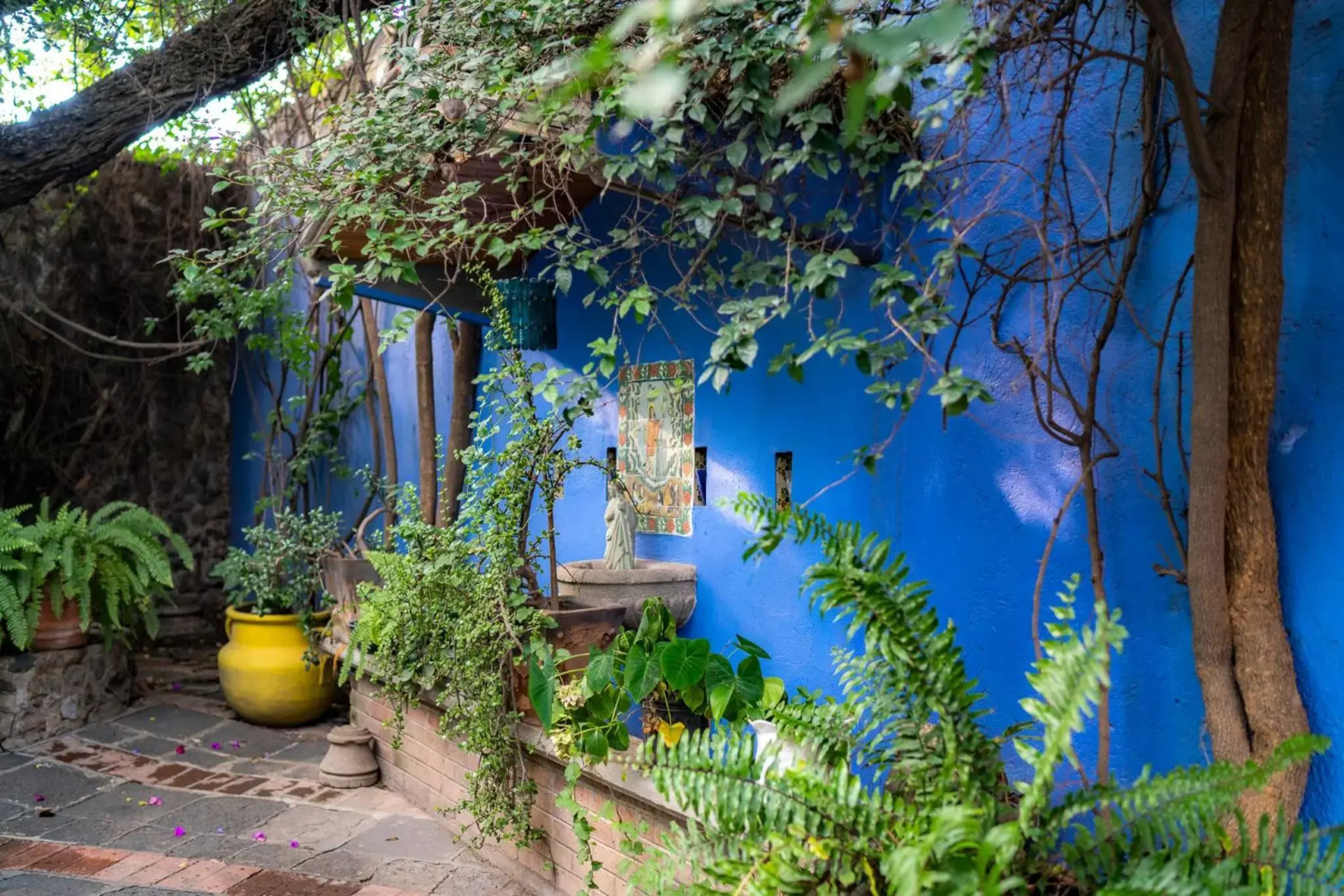 Posada Colibrí