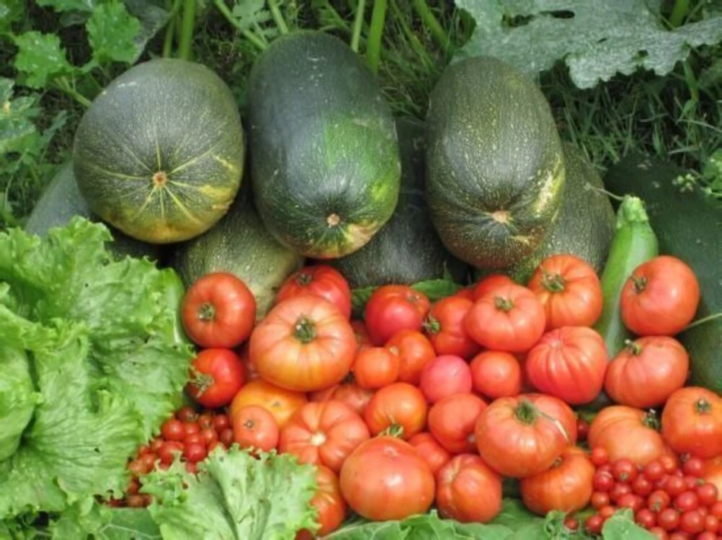 Apartamentos Jes?s for 4 People