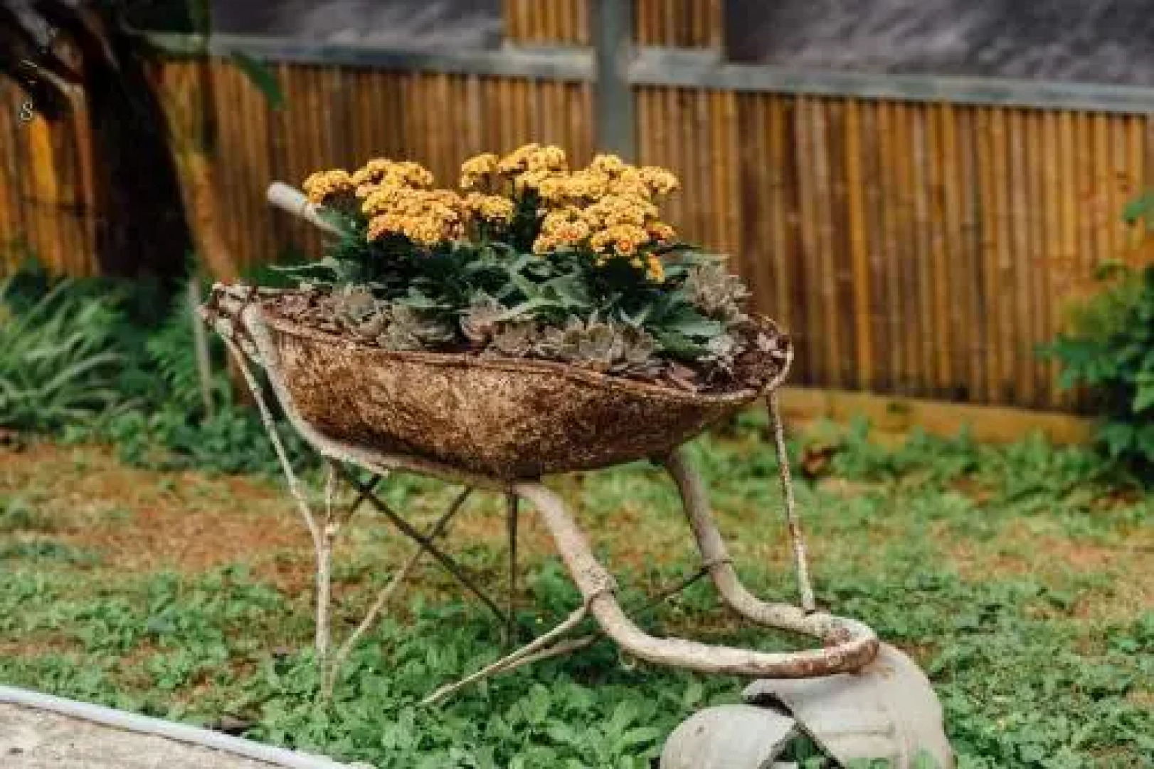 Eco House Mộc Châu