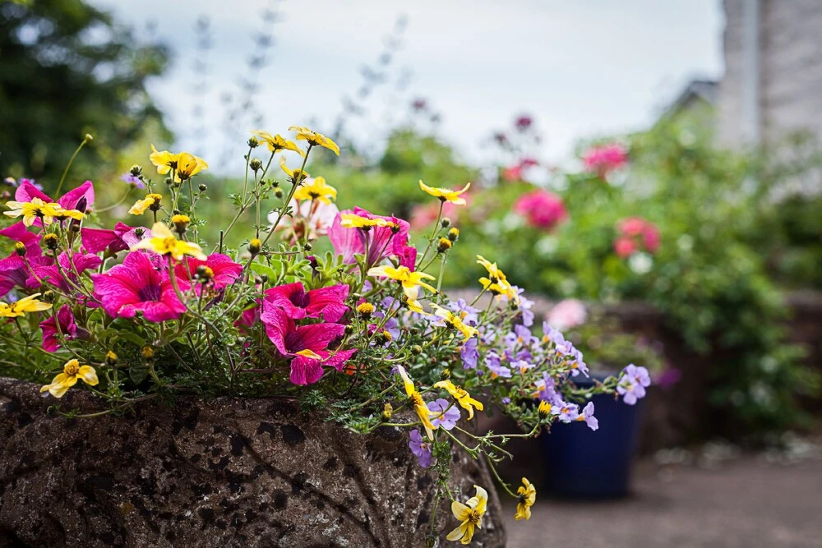 Stoodleigh Court Coach House B & B