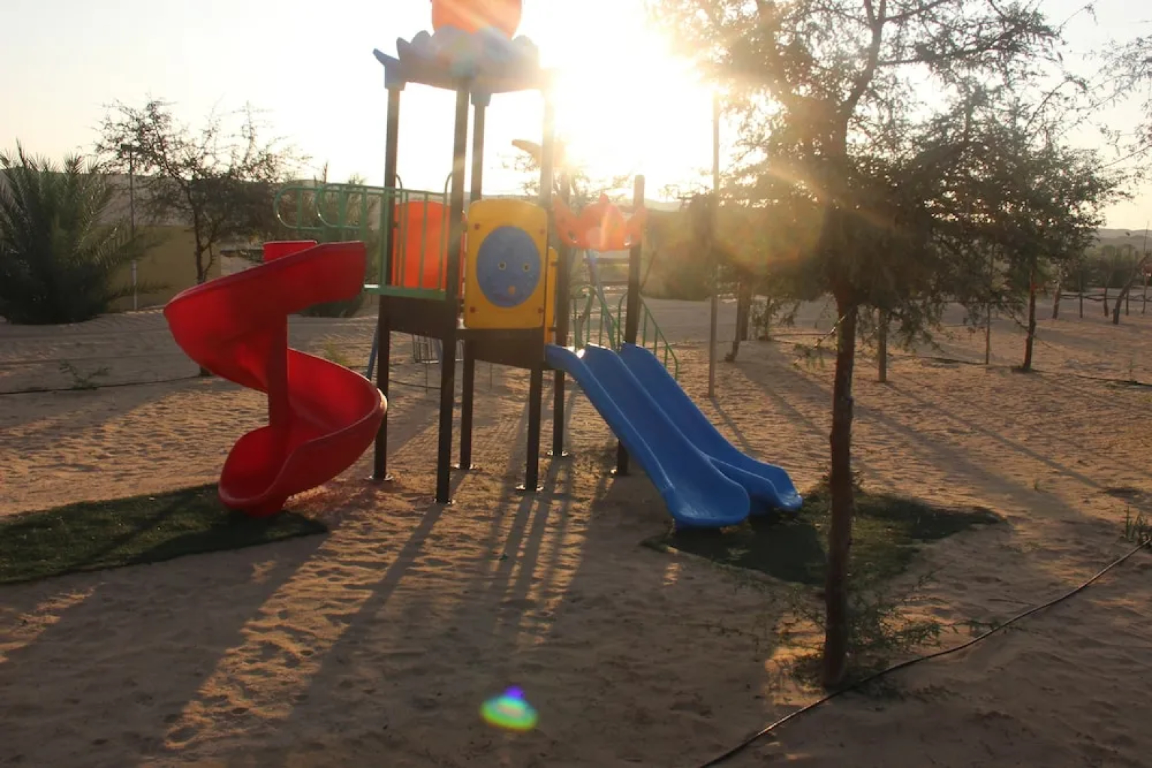 Golden Palm Oasis