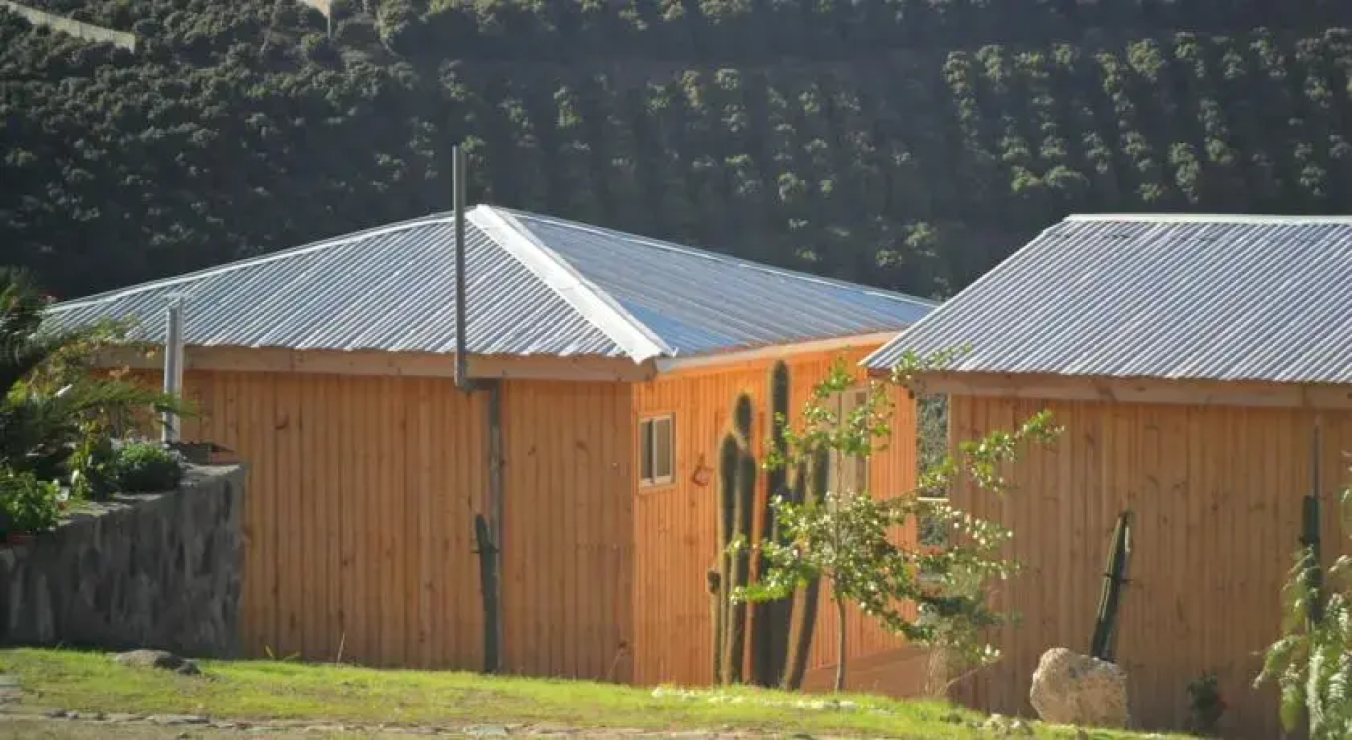 Centro Lincahue