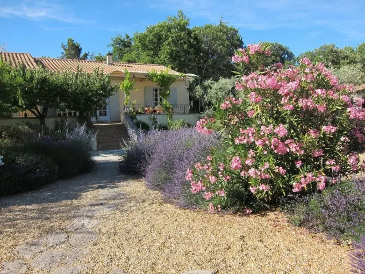 Ideal Studio - Guaranteed exceptional moments