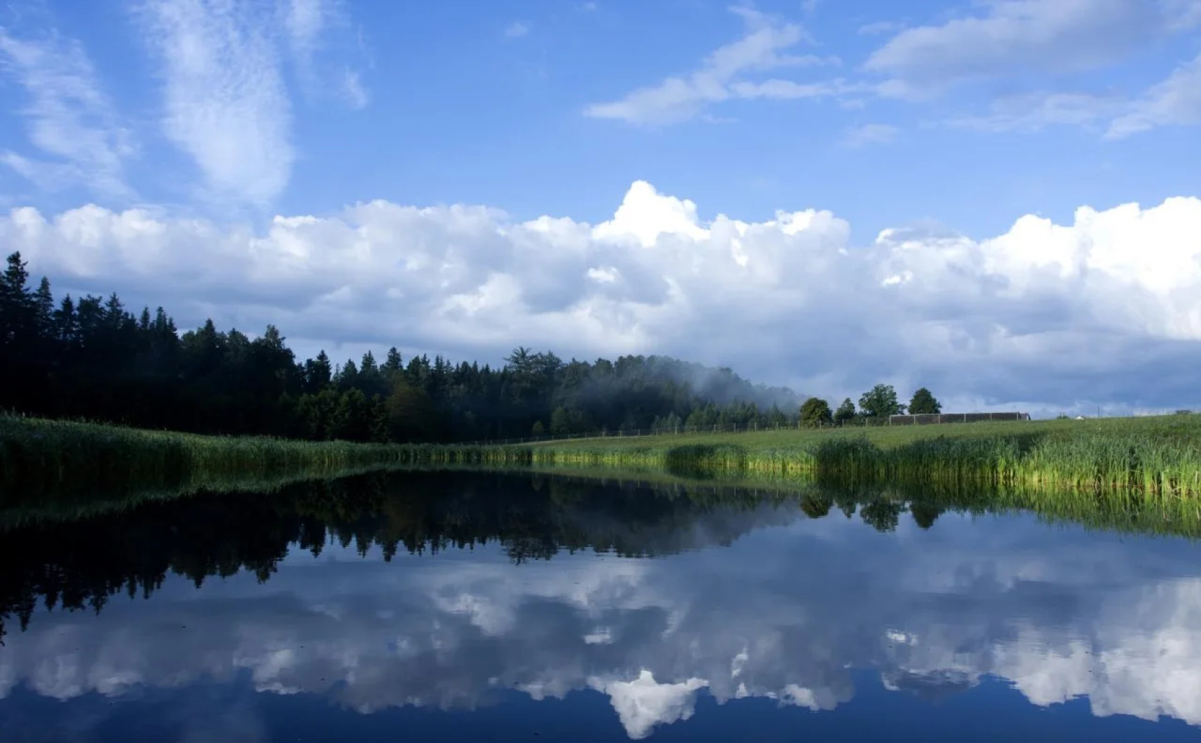 Отель Harmony Park