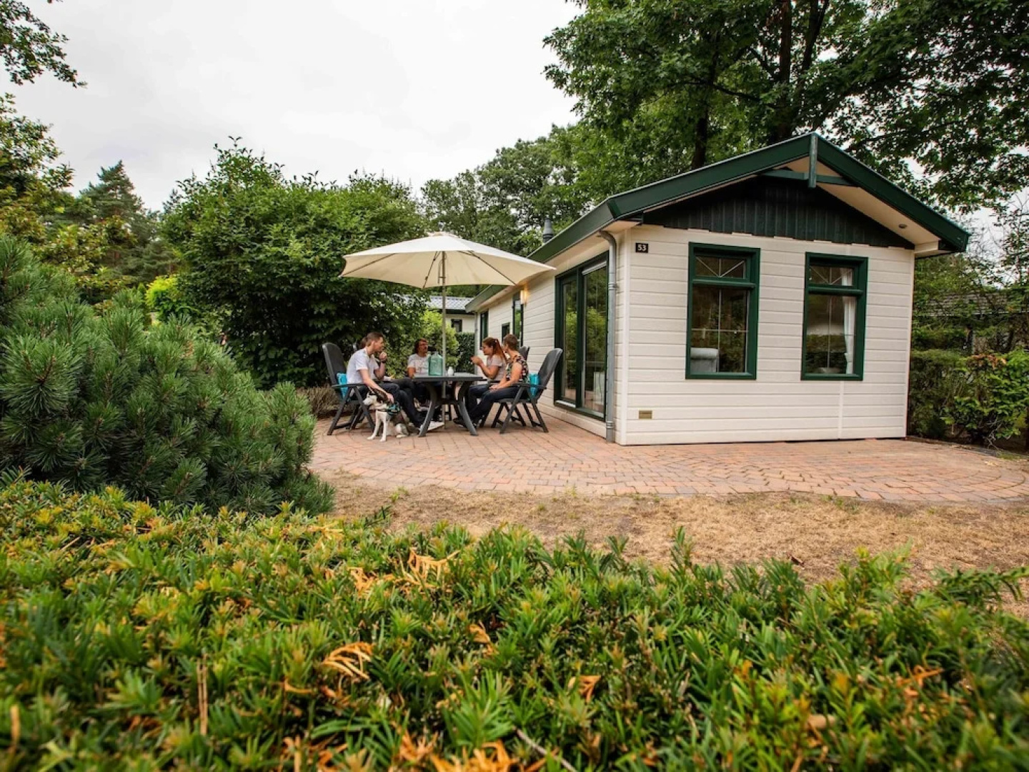 Comfortable Chalet in the Middle of De Veluwe