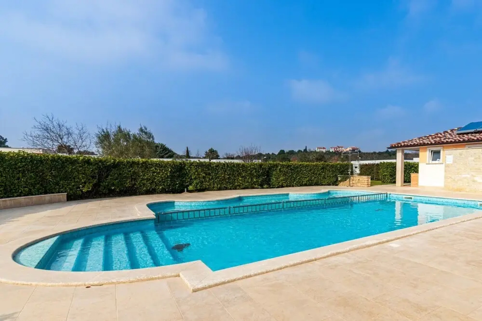 Pool Apartment Suzi 1