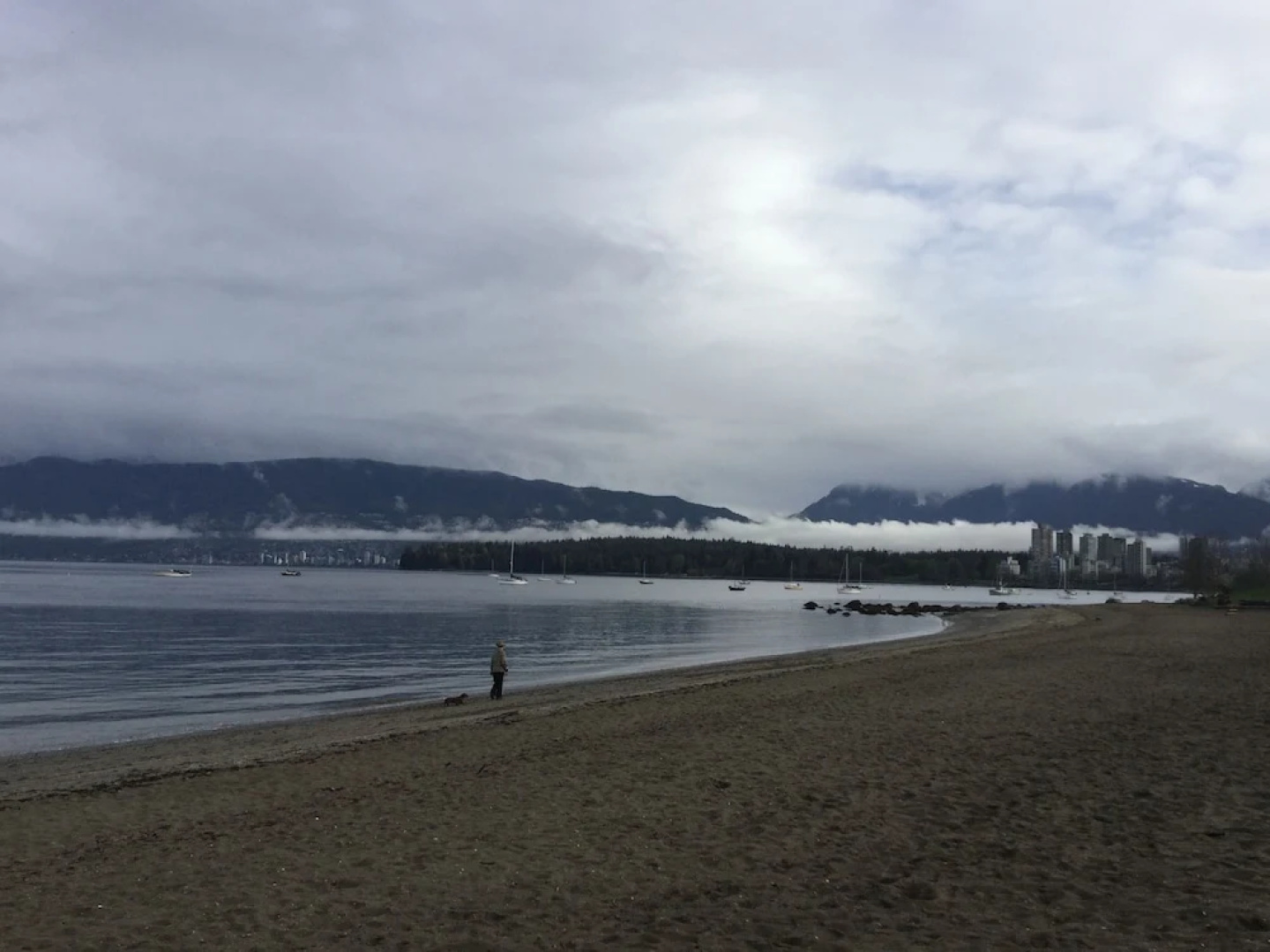 Vancouver West Luxurious House