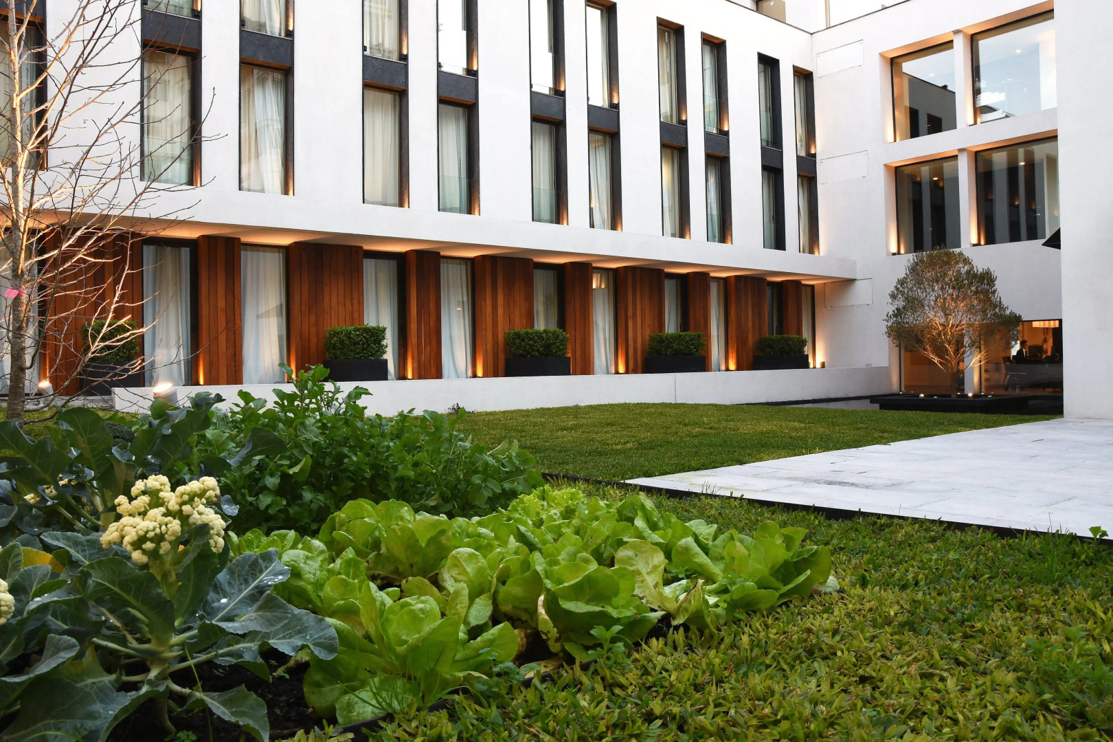 Oliva Luxury Hotel Montevideo