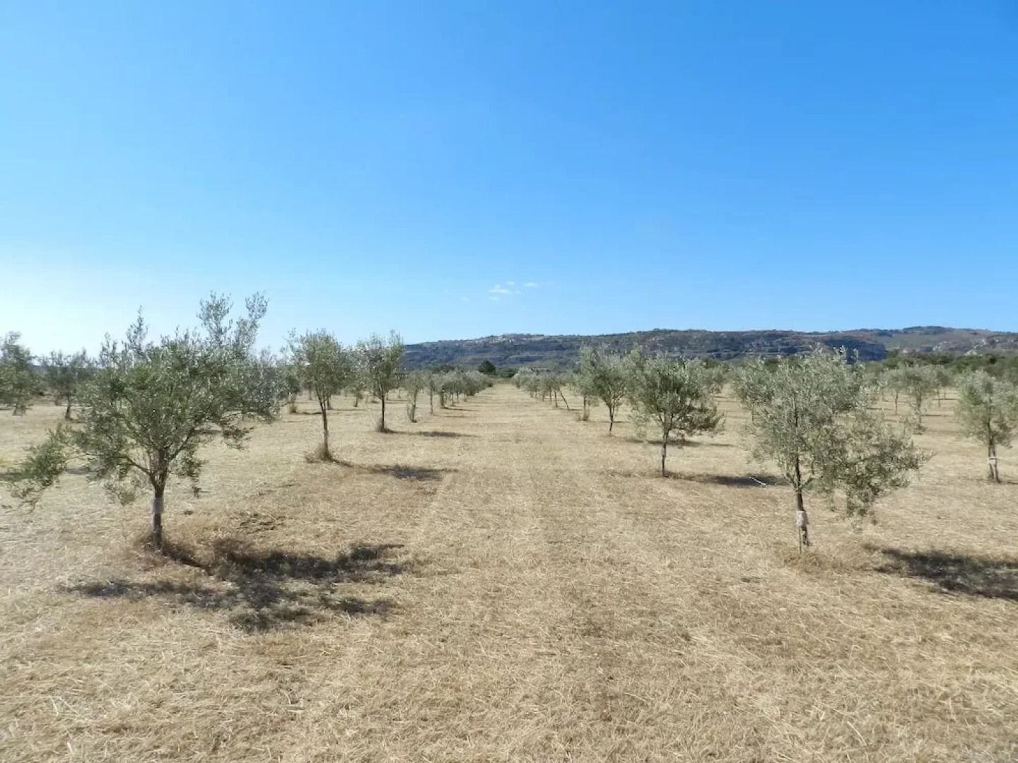 Masseria Santacatrini