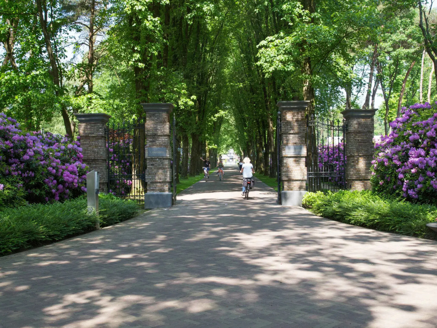 Comfortable chalet with outdoor sauna, near De Veluwe