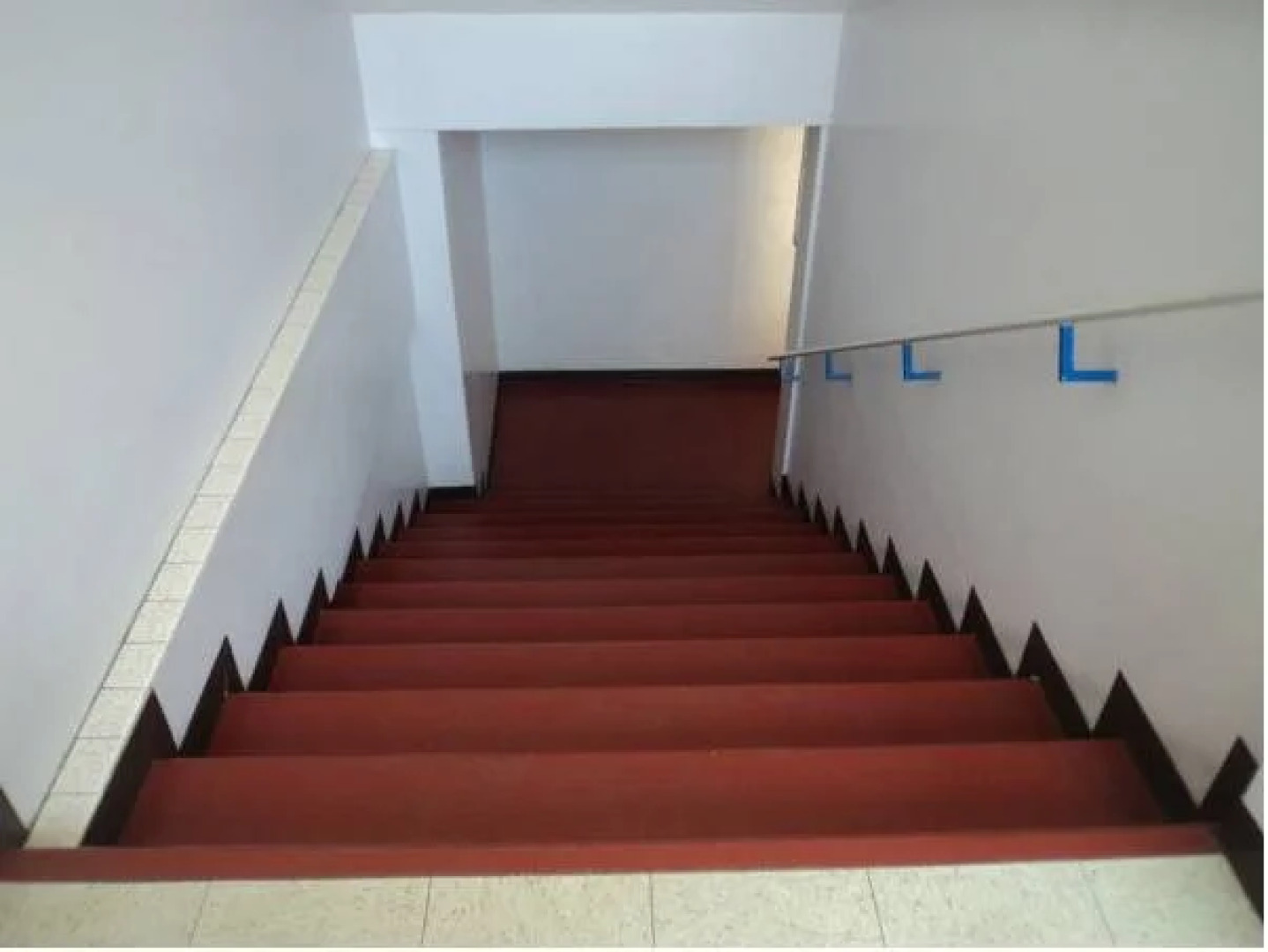 Hotel San Carlos Nogales