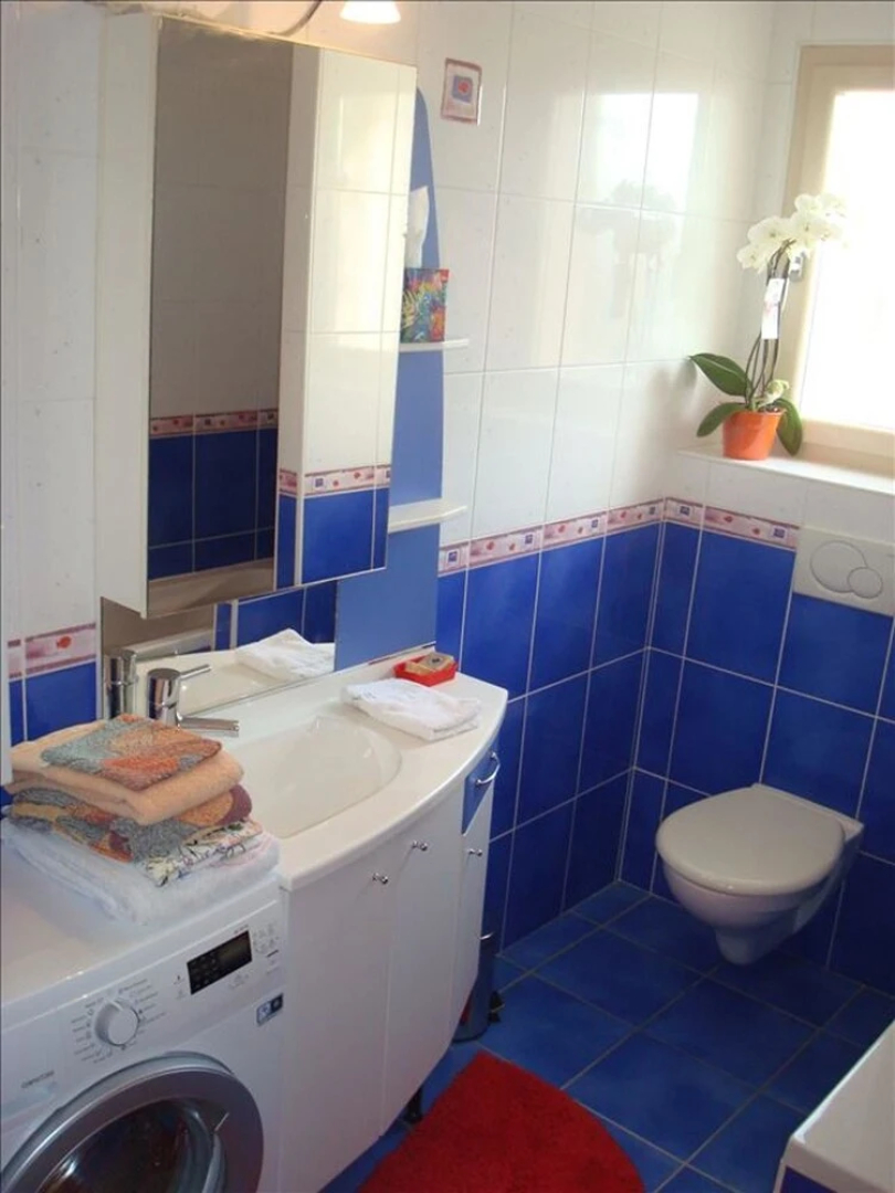 Apartment With one Bedroom Near Geneva, With Enclosed Garden and Wifi