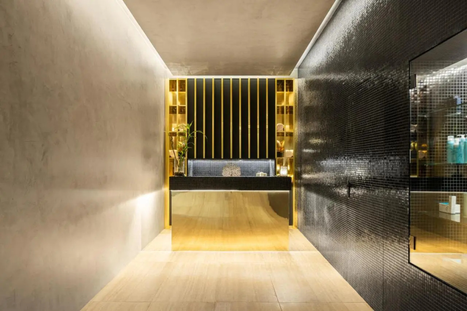 MS Collection Aveiro Palacete de Valdemouro