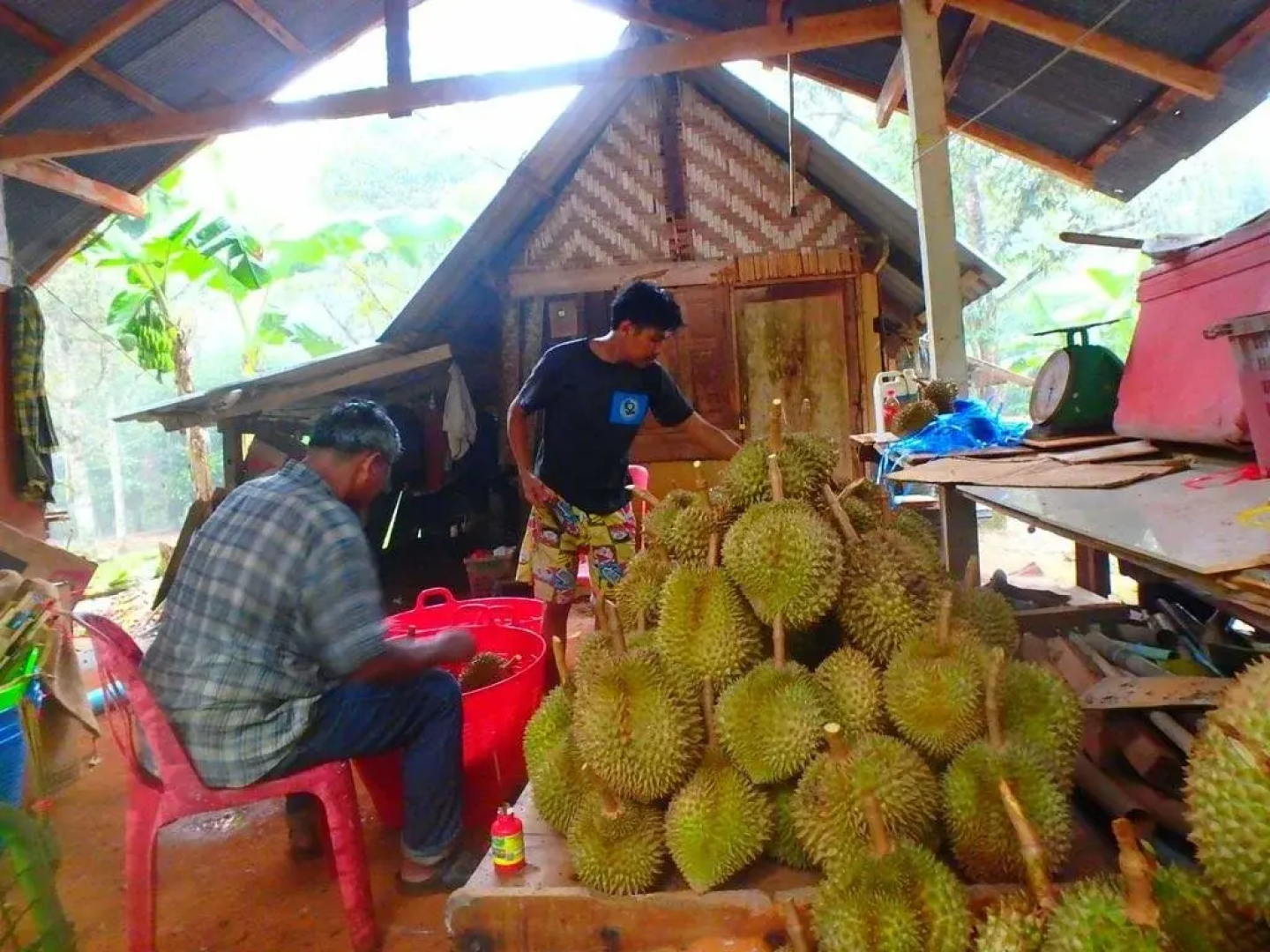 Chomdao Homestay