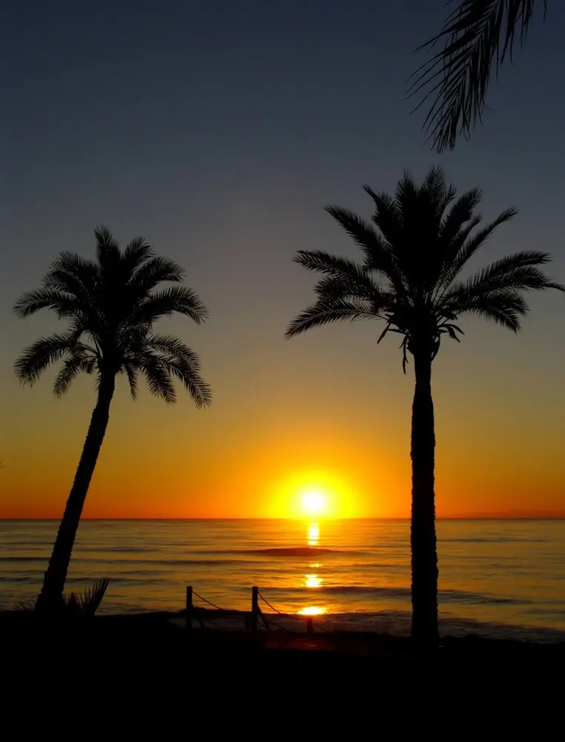 Apartamentos Marina d'Or Beach 2ª Línea