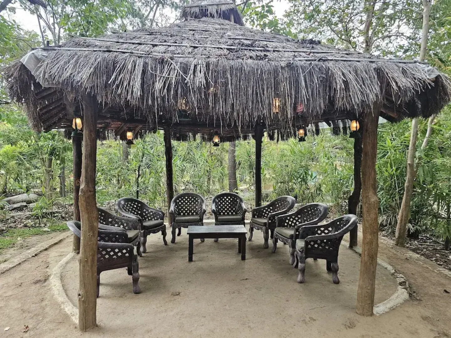 The Celebration Van Vilas Kanha