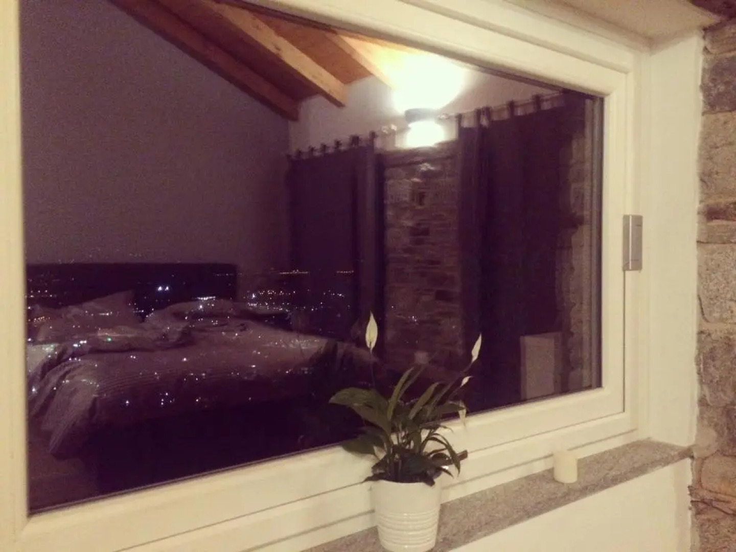 Il riccio di Ricciano