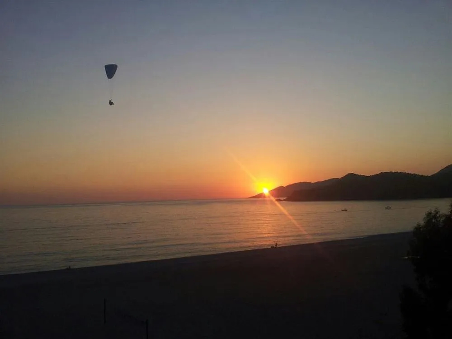 Отель MagicTulip Beach 