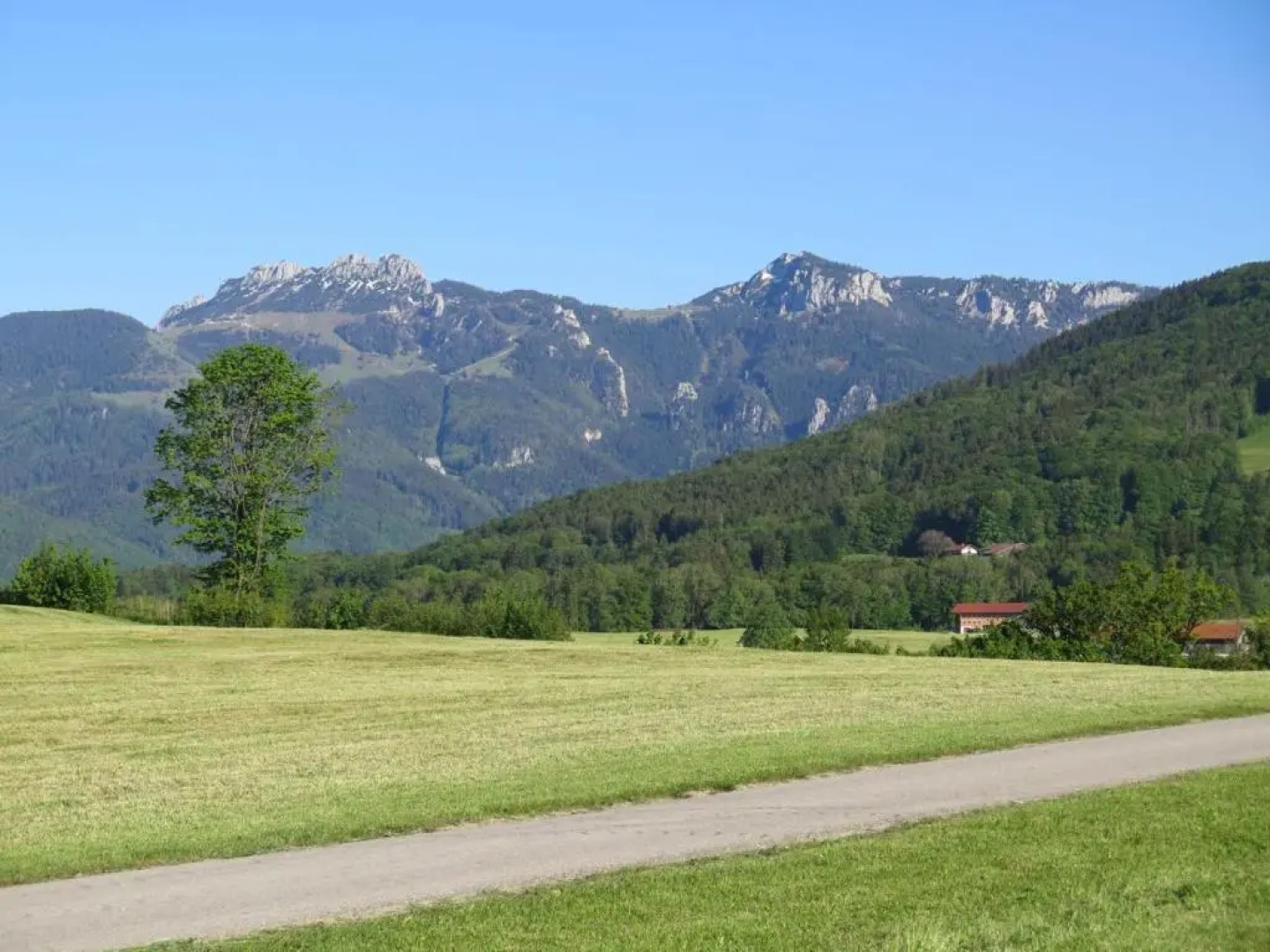 Ferienwohnung Riesenblick