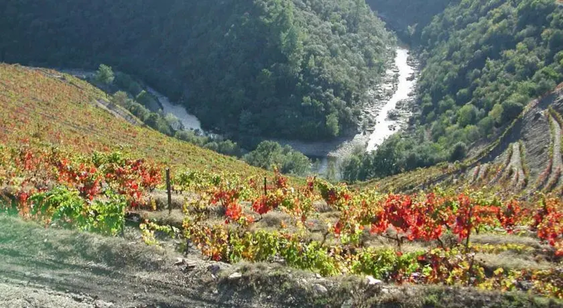Quinta do Passadouro