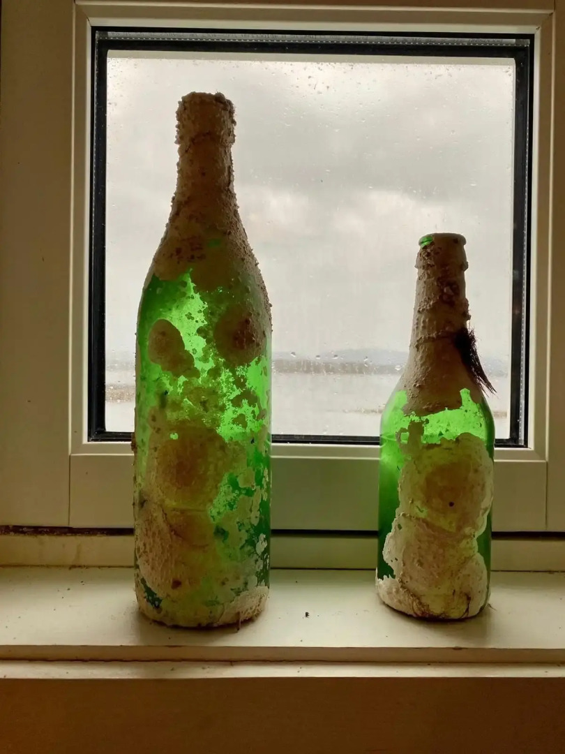 Sveggvika Guesthouse