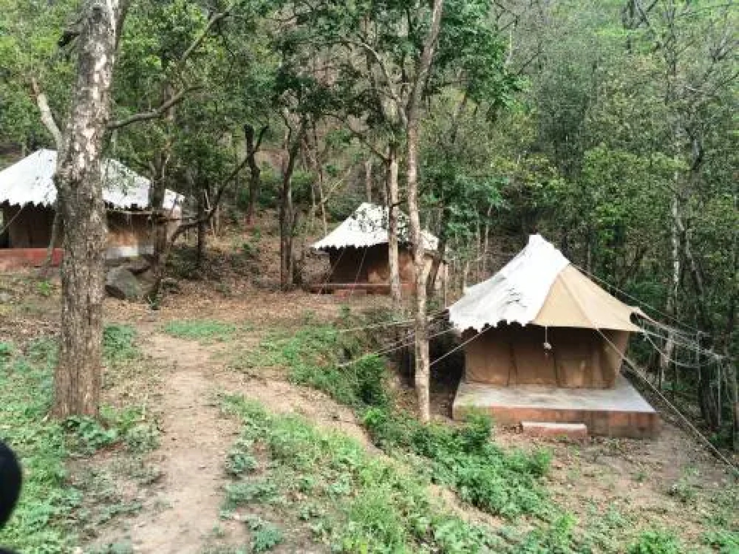 Camp Leopard Heights