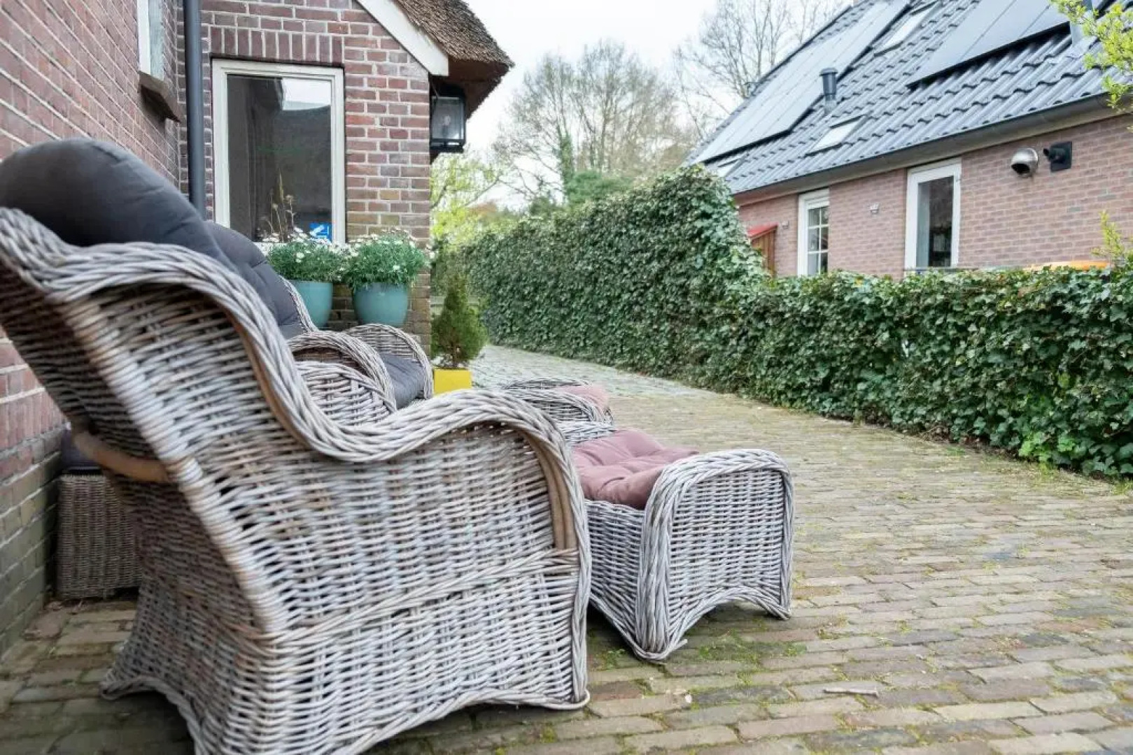 Studio in rietgedekte boerderij, geheel privé, hond vriendelijk