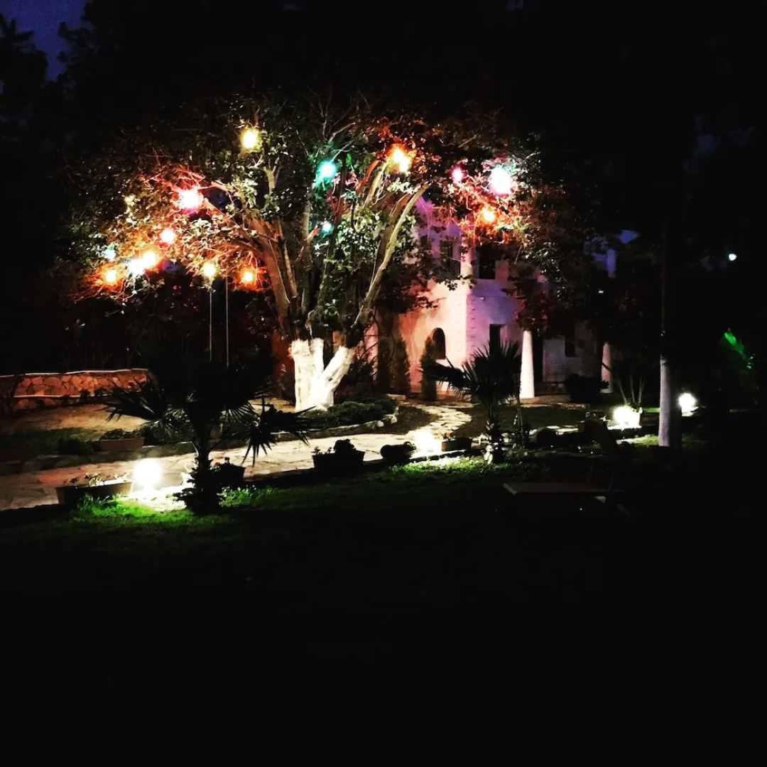 Cohiba Boutique & Beach