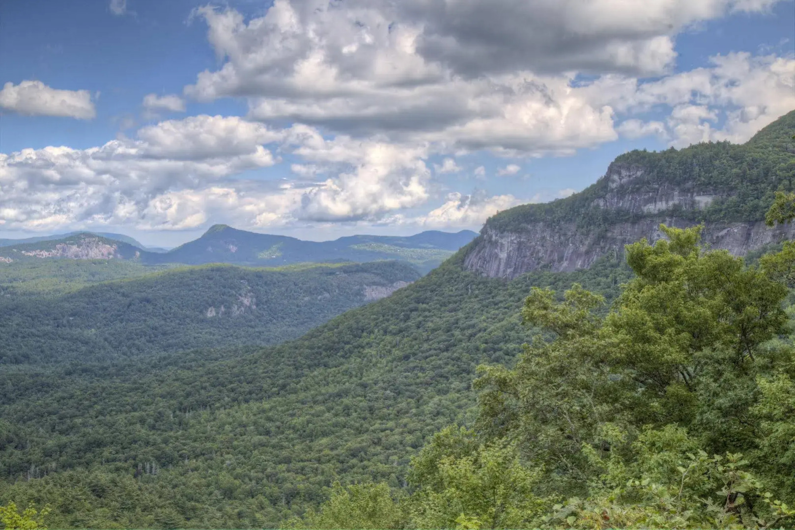 Foxhunt at Sapphire Valley