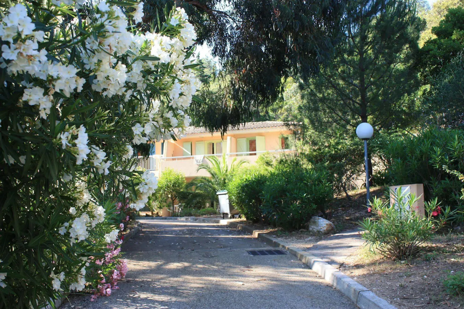 Domaine De La Pinede