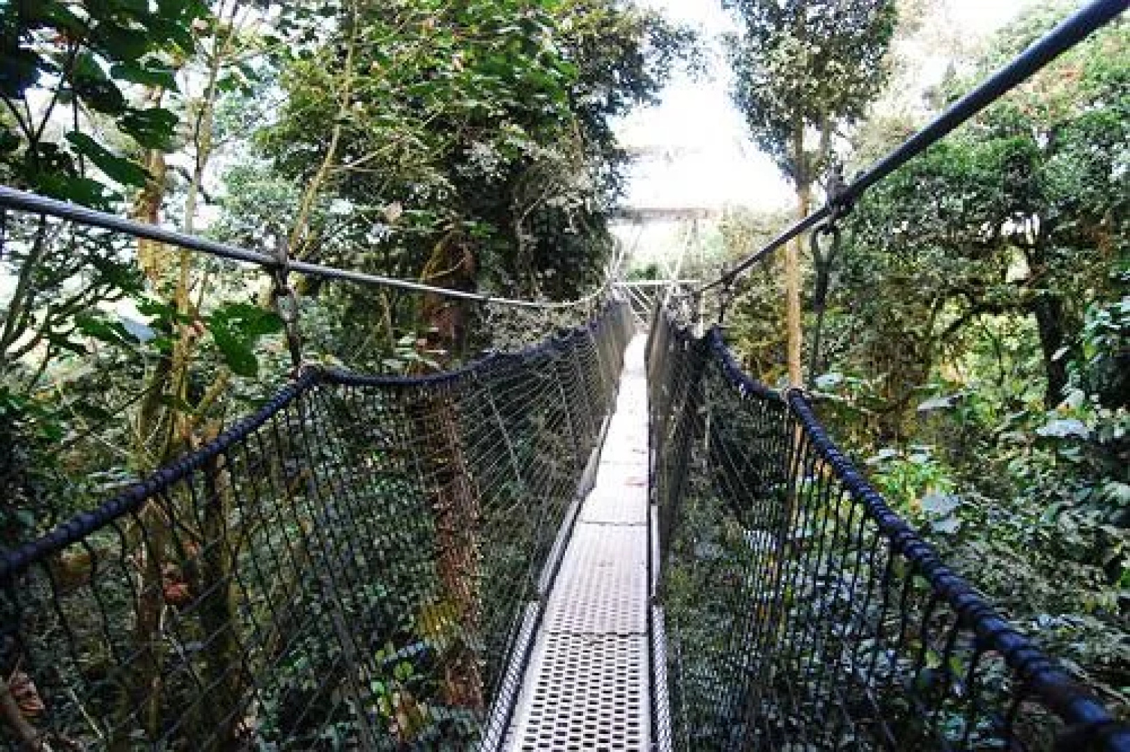 Obudu Mountain Resort