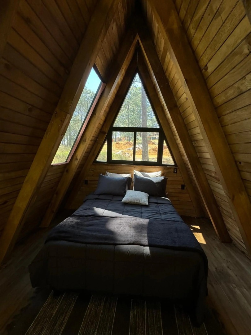 PINE TREE Hotel Boutique & Cabañas