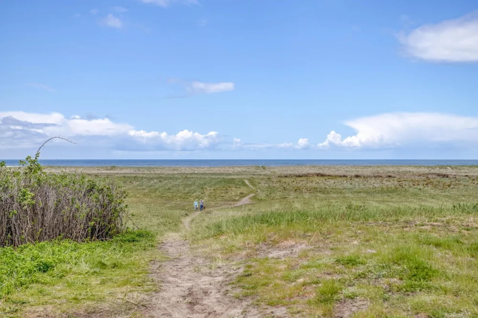Ocean Avenue