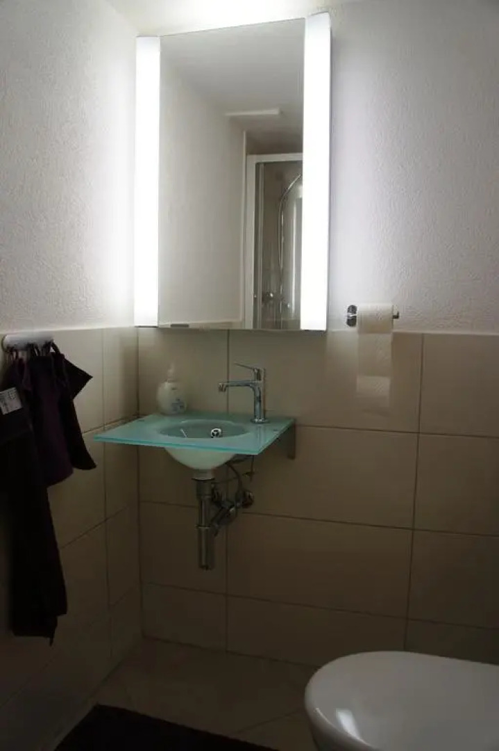 Studio-Appartment Horgen