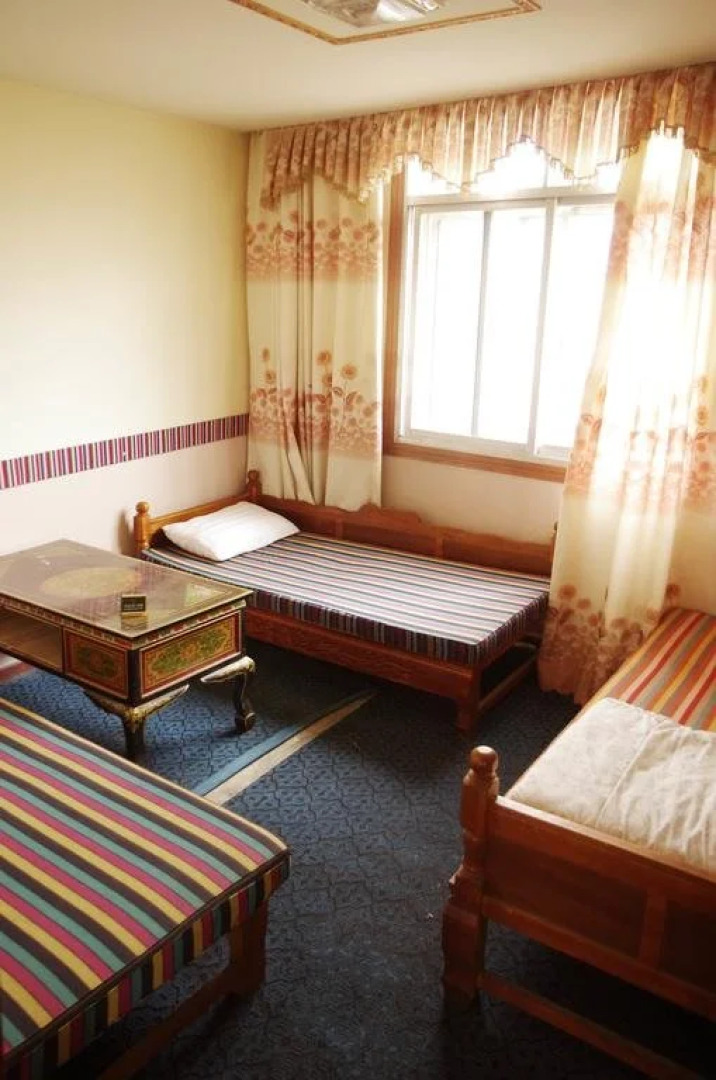 Migrant Bird Youth Hostel