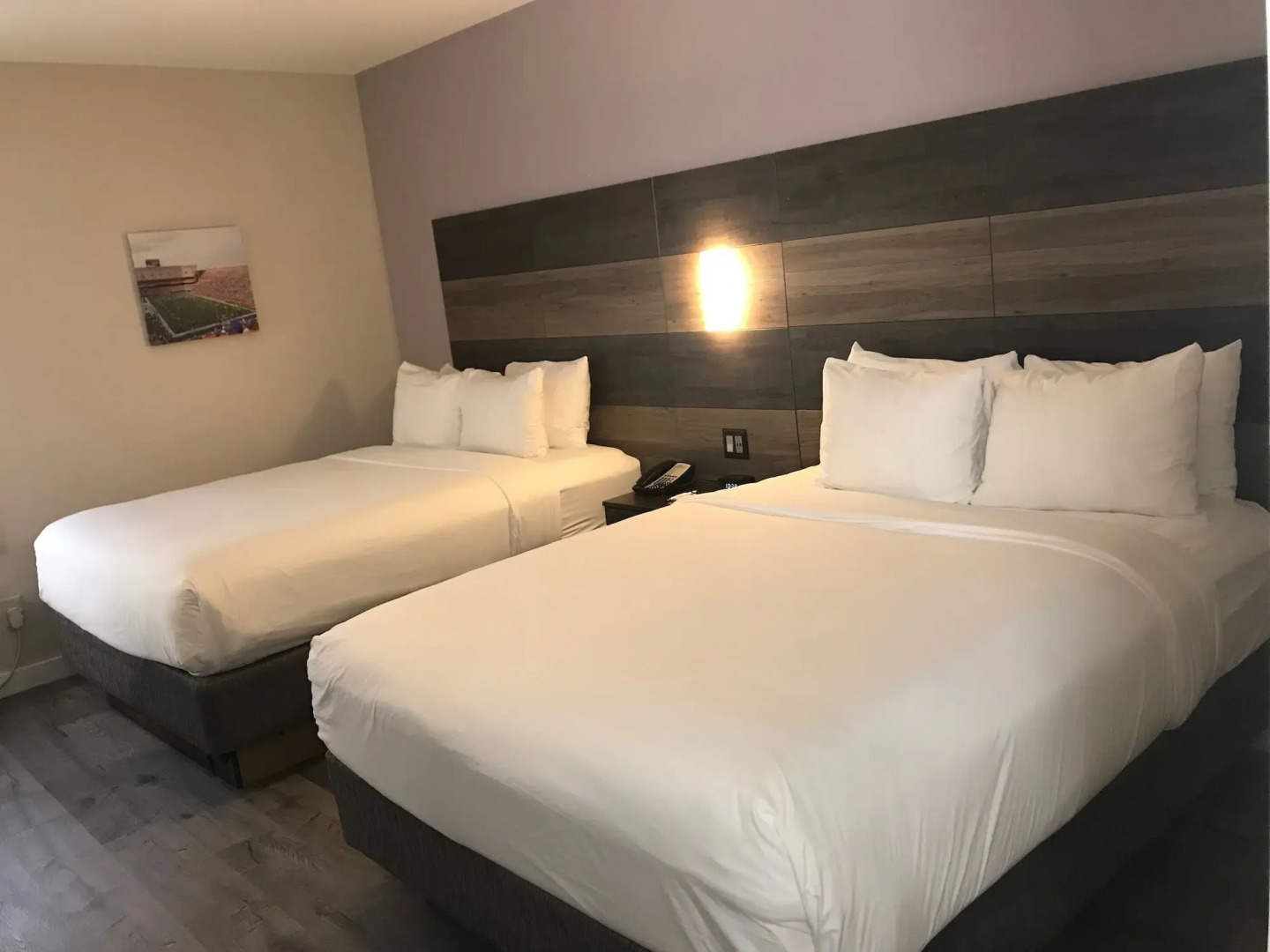 HOM Hotel Gainesville, SureStay Collection by Best Western